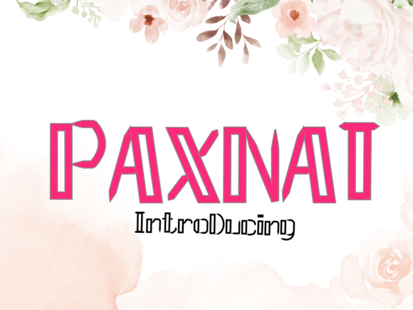 Paxnat: A Modern Display Font for Bold Branding