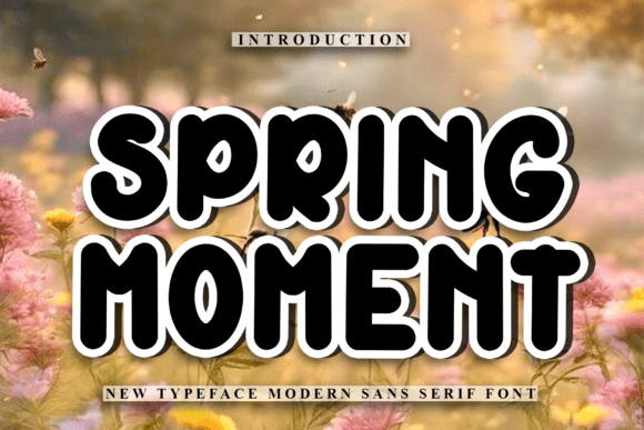 Spring Moment: A Friendly Display Font for Web Design